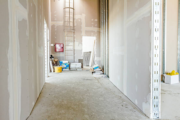 Best Mold-Related Health Consultation  in Fairview, NC